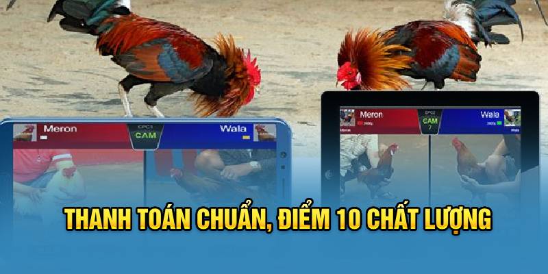 Thanh toán chuẩn, điểm 10 chất lượng